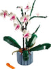 Orchid (10311)