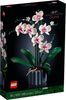 Orchid (10311)
