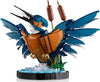 Kingfisher Bird (10331)