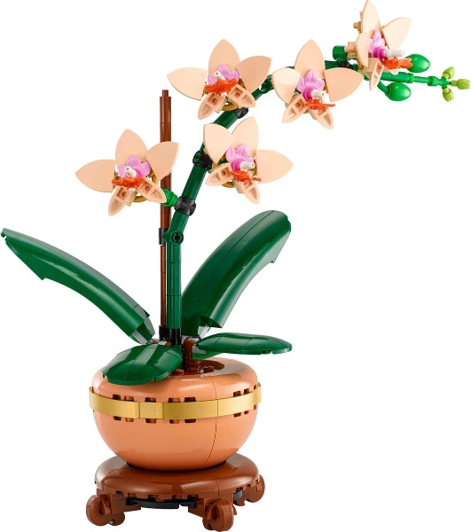 Mini Orchid (10343)