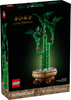 Lucky Bamboo (10344)