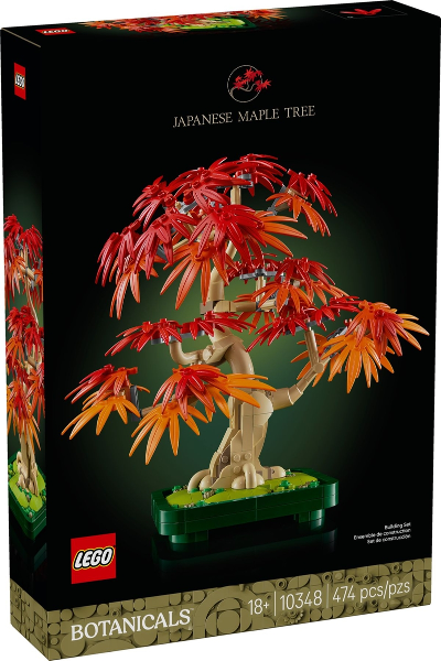 Japanese Maple Tree (10348)