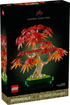 Japanese Maple Tree (10348)