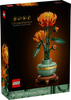 Chrysanthemum (10368)