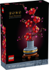 Plum Blossom (10369)
