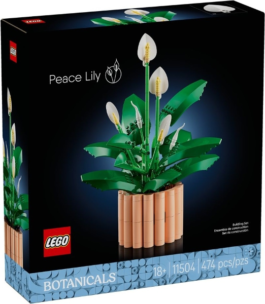 Peace Lily (11504)