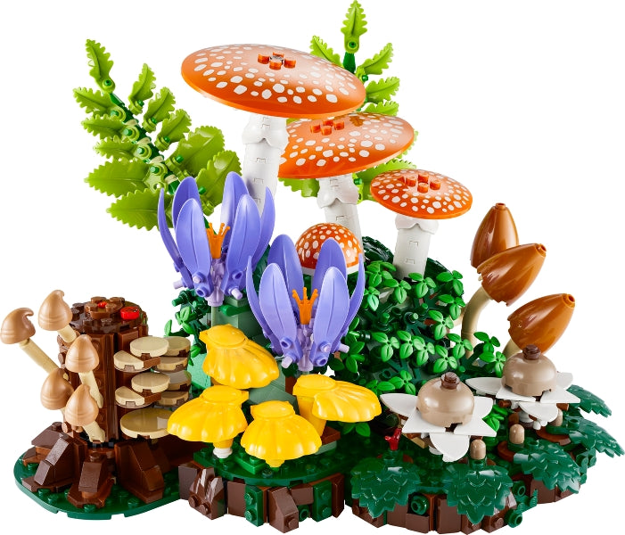 Woodland Mushrooms (11505)