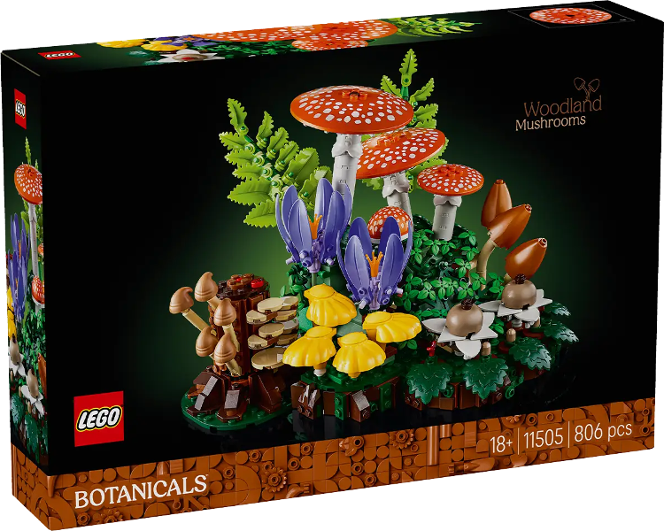 Woodland Mushrooms (11505)
