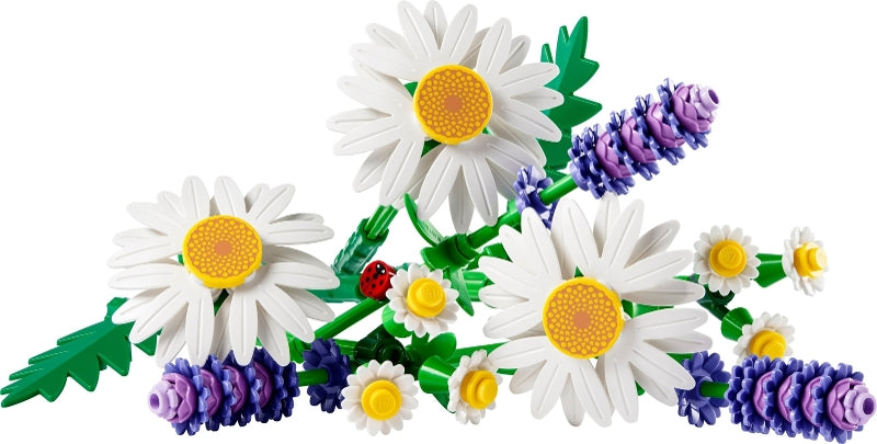 Daisies (11508)