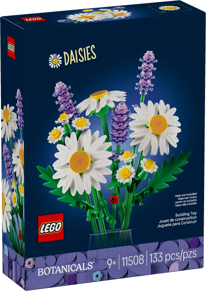 Daisies (11508)