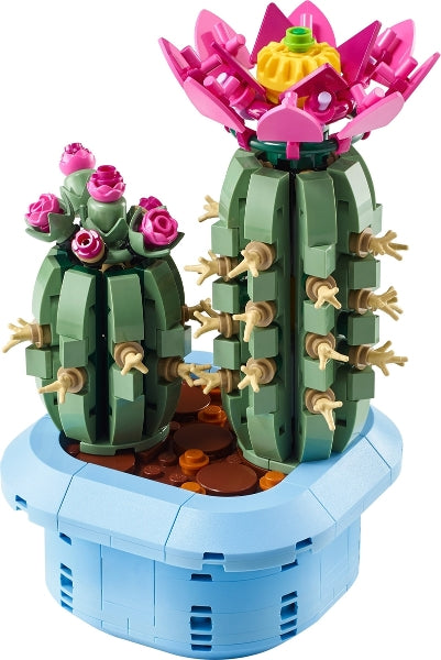 Flowering Cactus (11509)