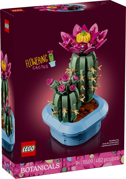 Flowering Cactus (11509)