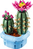 Flowering Cactus (11509)