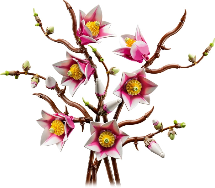 Magnolia Branches (11510)