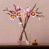 LEGO® 11510 Magnolia Branches