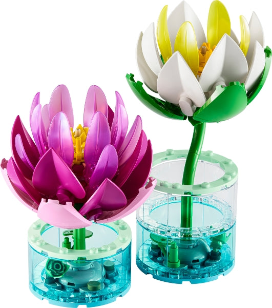 Water Lilies (11511)