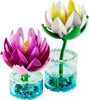 Water Lilies (11511)