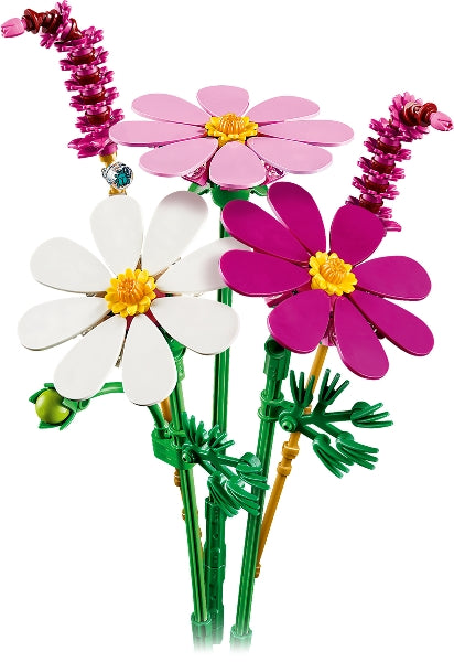 Cosmos Flowers (11514)