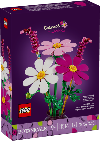 Cosmos Flowers (11514)