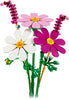 Cosmos Flowers (11514)