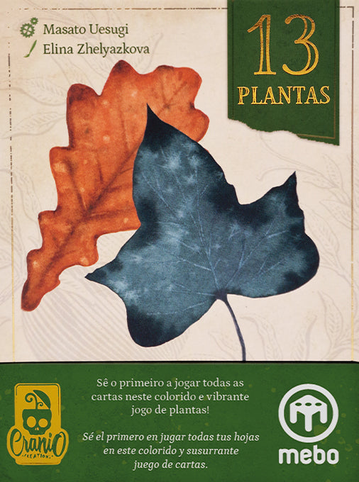 13 Plantas