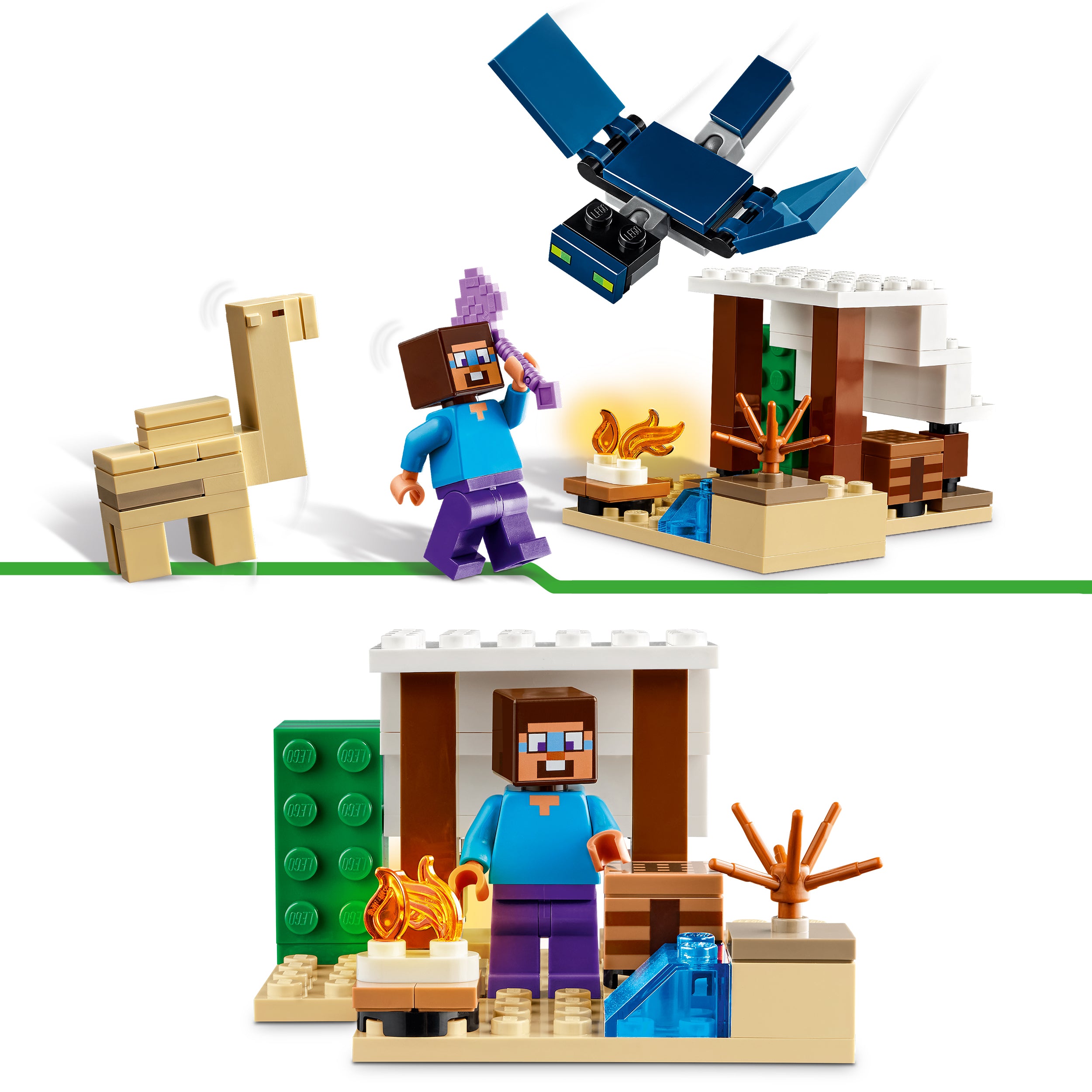 LEGO® 21251 Steve's Desert Expedition
