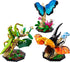 The Insect Collection (21342)