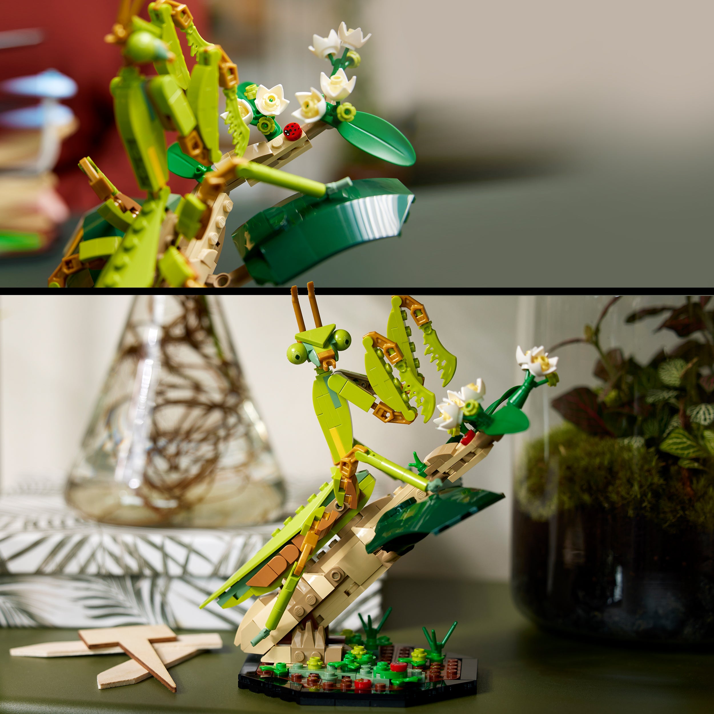 LEGO® 21342 The Insect Collection