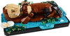 Floating Sea Otters (21366)