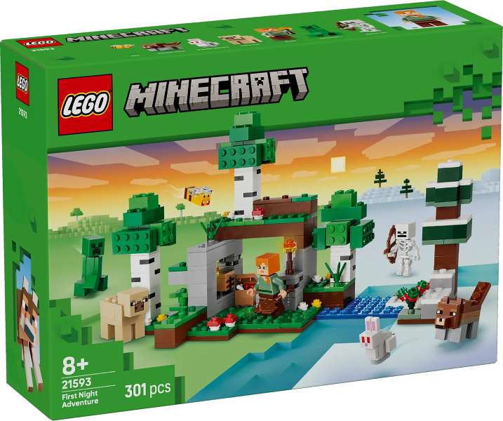 First Night Adventure (21593)