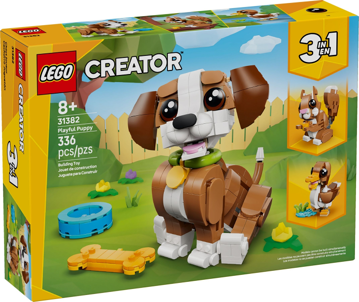 Playful Puppy (31382)