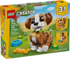 Playful Puppy (31382)