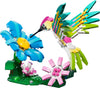Colorful Hummingbird (31384)