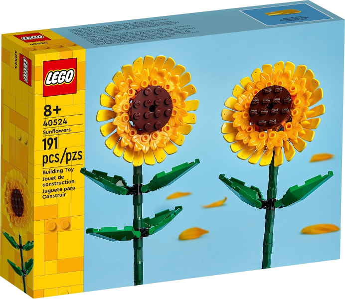 Sunflowers (40524)