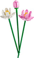 Lotus Flowers (40647)