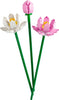 Lotus Flowers (40647)