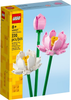 Lotus Flowers (40647)