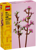 Cherry Blossoms (40725)