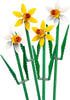 Daffodils (40747)