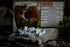 Evolution: New World – Butterfly Effect