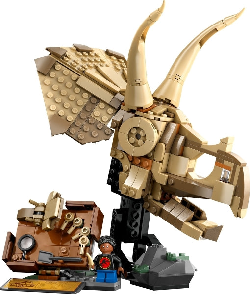 Dinosaur Fossils: Triceratops Skull (76969)