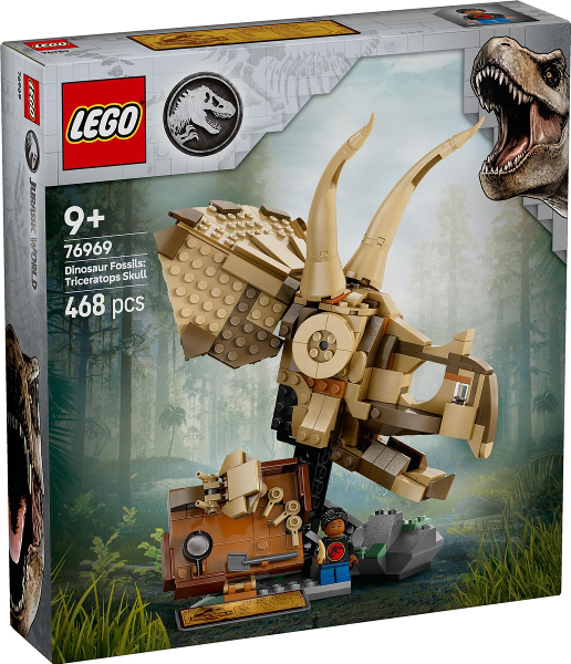 Dinosaur Fossils: Triceratops Skull (76969)