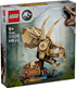 Dinosaur Fossils: Triceratops Skull (76969)