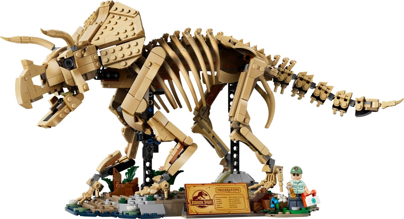 Dinosaur Fossils: Triceratops (77985)