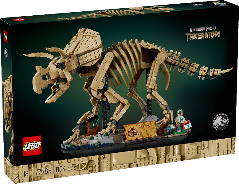 Dinosaur Fossils: Triceratops (77985)