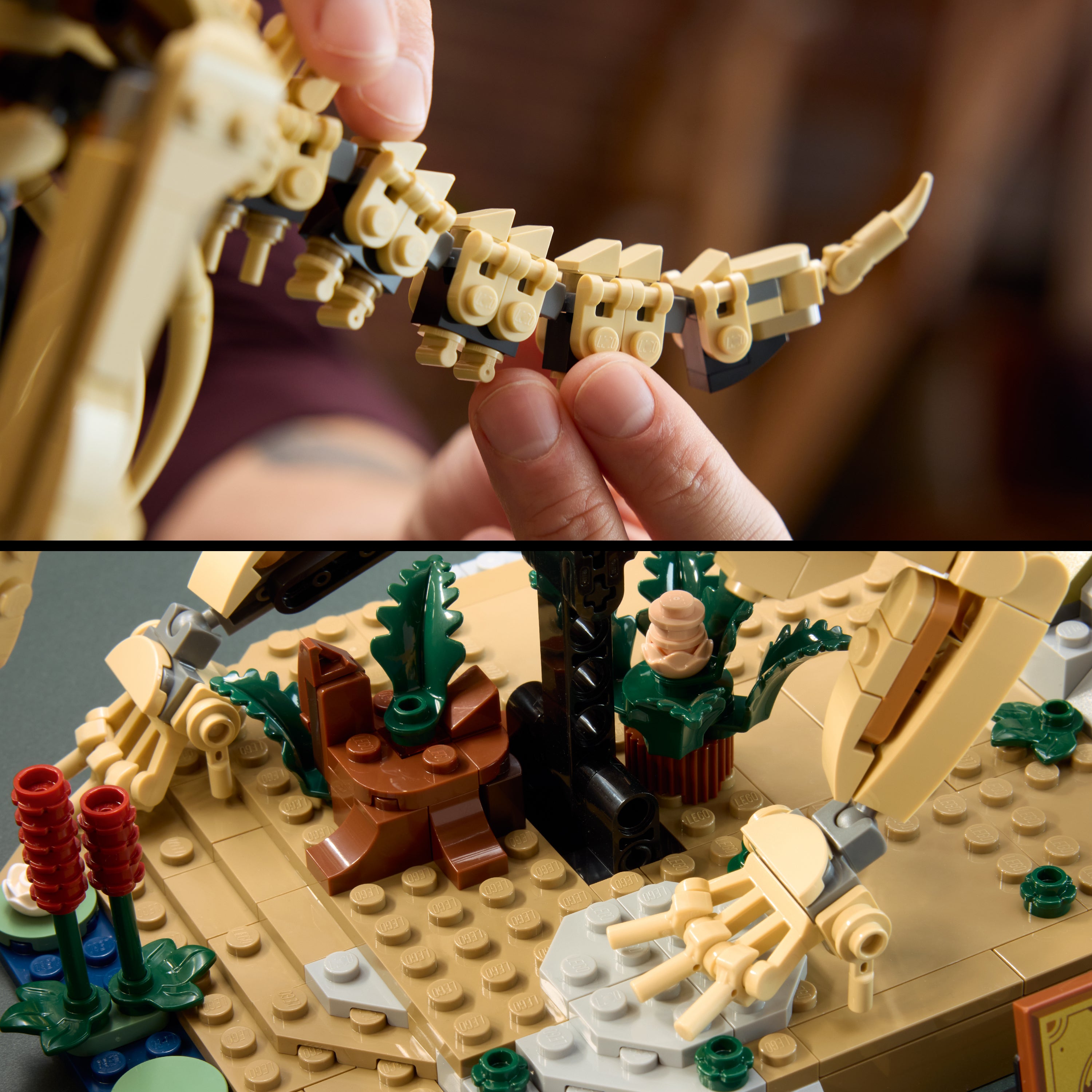 LEGO® 77985 Dinosaur Fossils: Triceratops