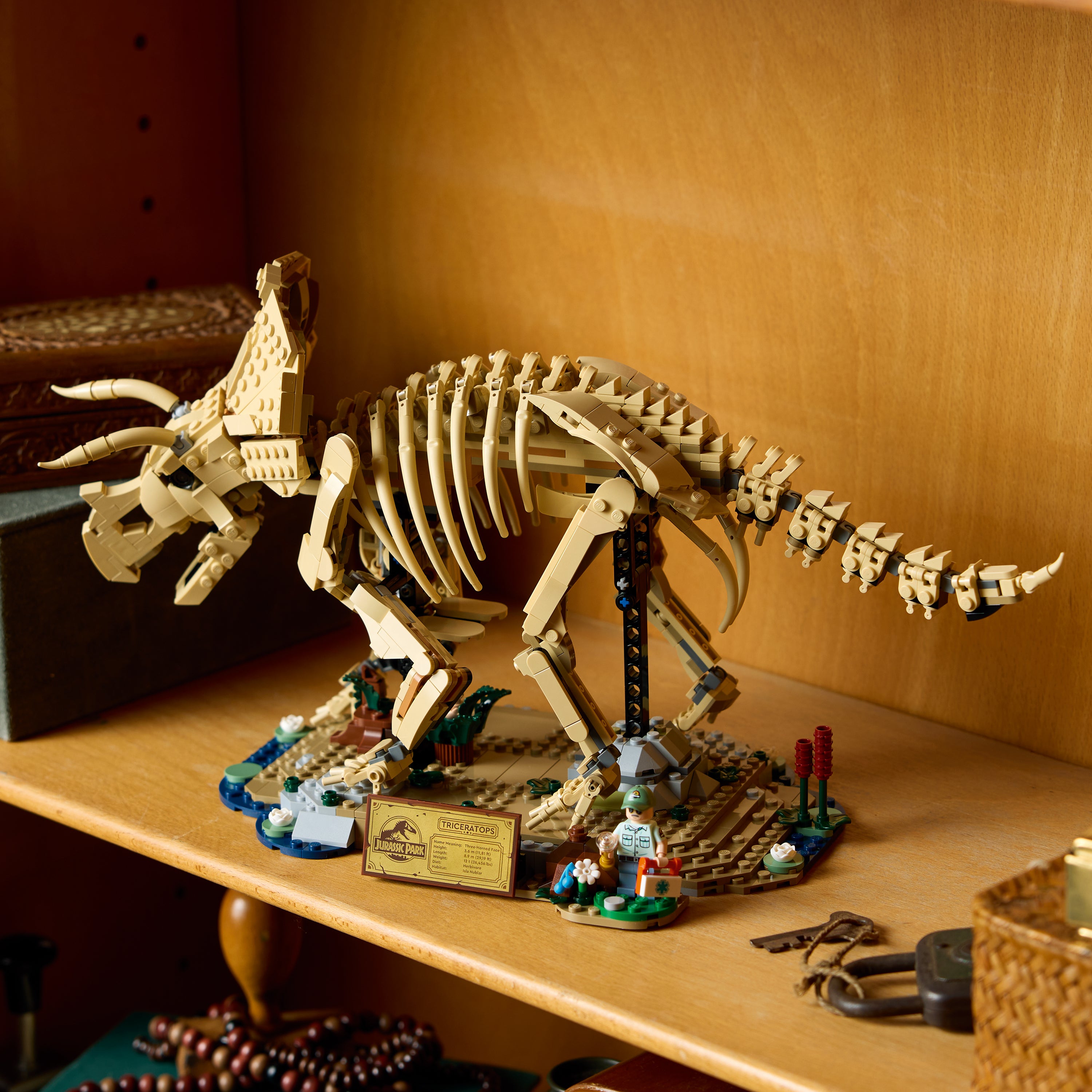 LEGO® 77985 Dinosaur Fossils: Triceratops