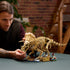 LEGO® 77985 Dinosaur Fossils: Triceratops