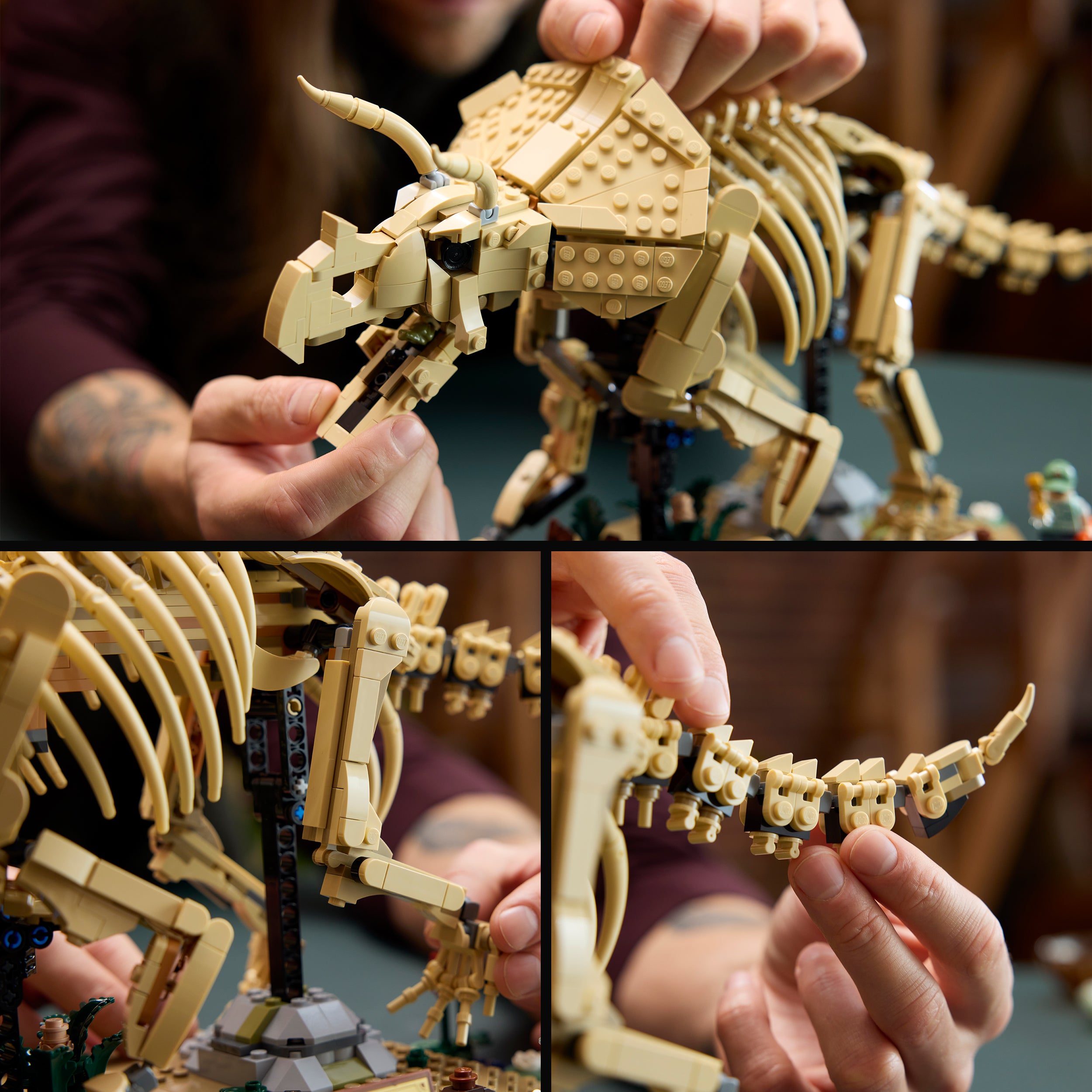 LEGO® 77985 Dinosaur Fossils: Triceratops