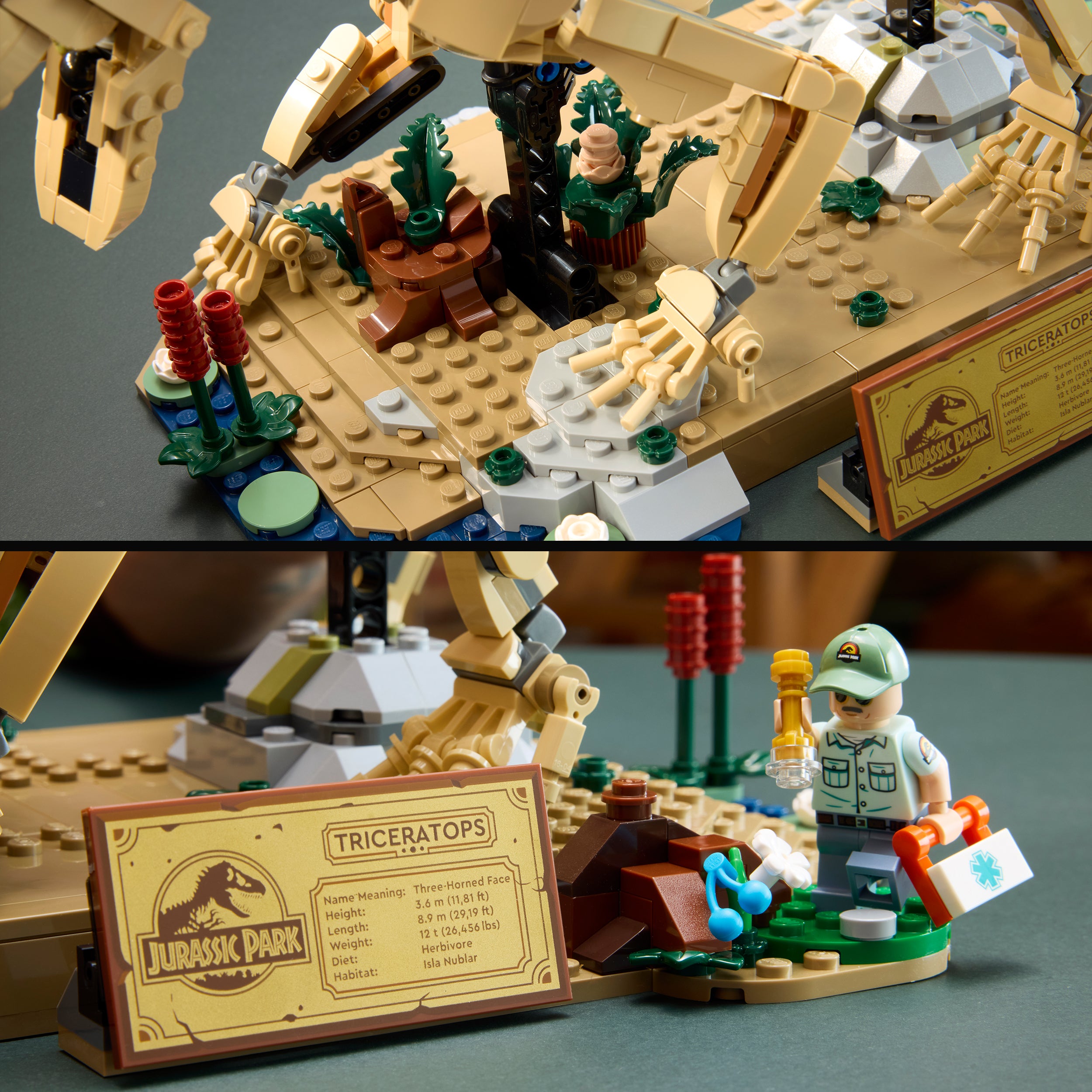 LEGO® 77985 Dinosaur Fossils: Triceratops